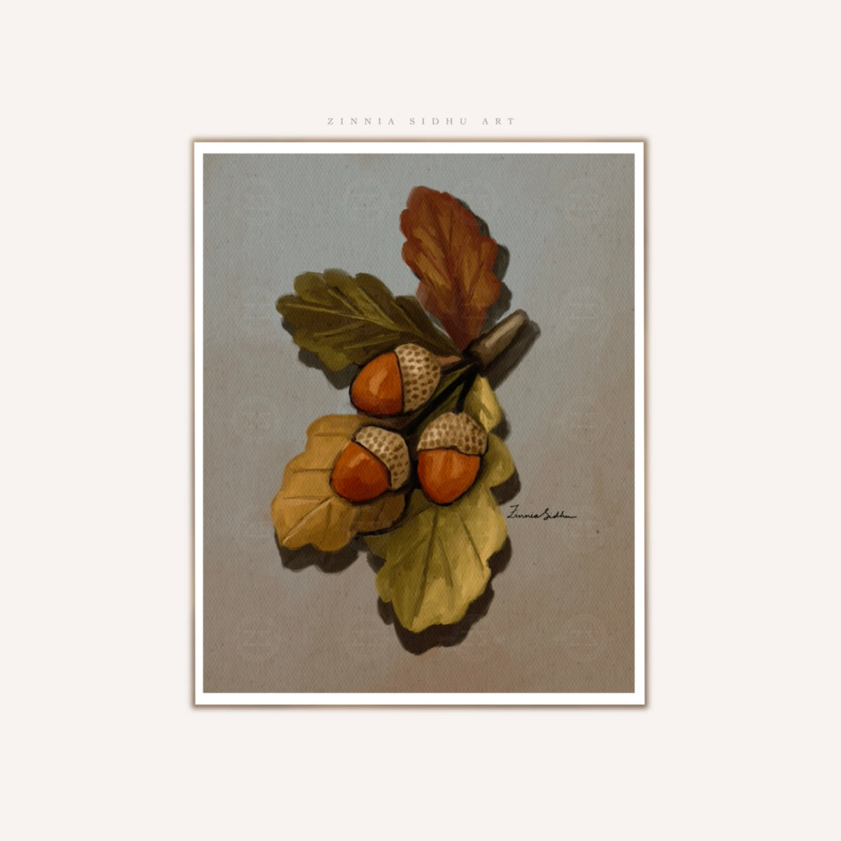 Acorn