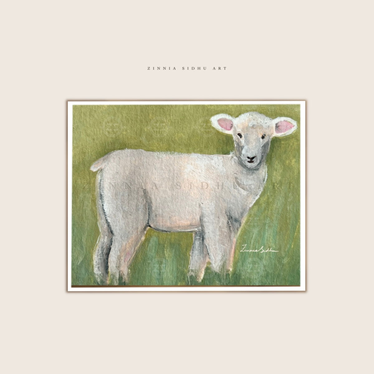 Cutest Lamb