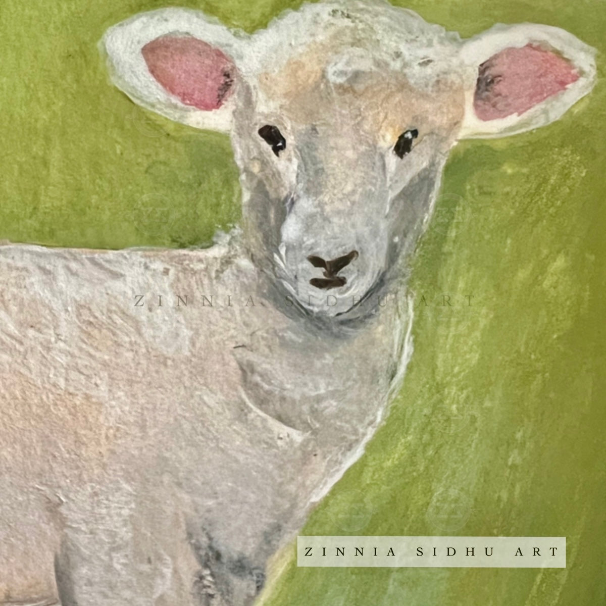 Original- Cutest Lamb