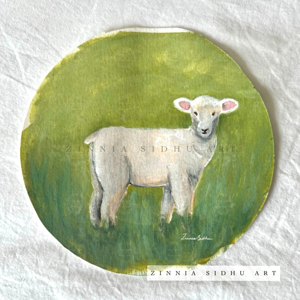 Original- Cutest Lamb