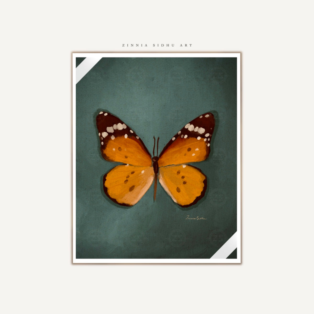 Butterfly