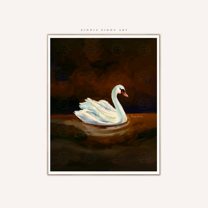 Swan Story