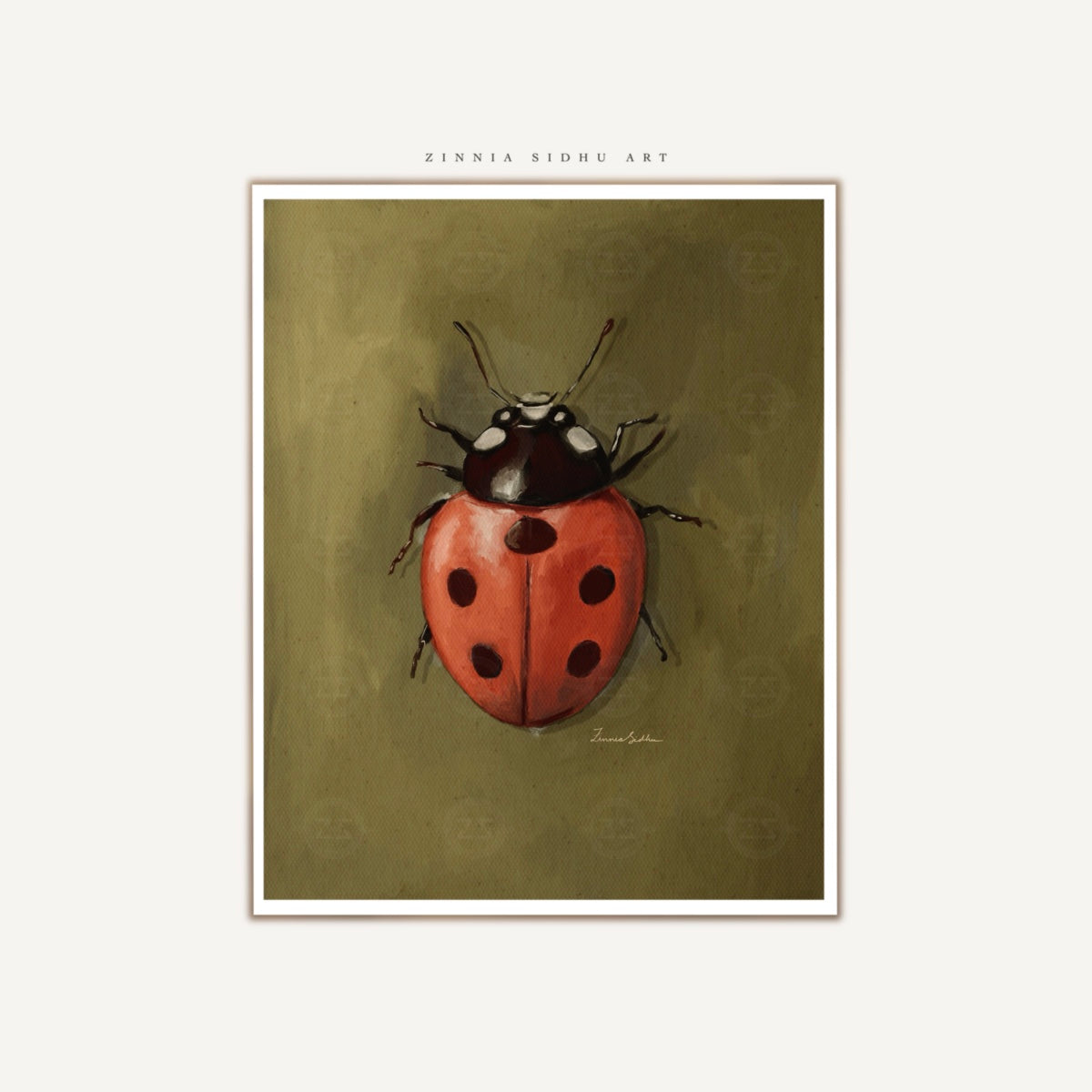 Ladybug