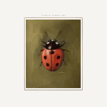 Ladybug