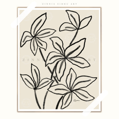 Lillies