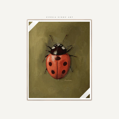 Ladybug