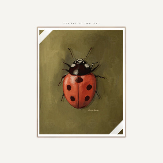 Ladybug