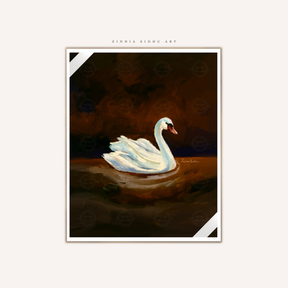 Swan Story
