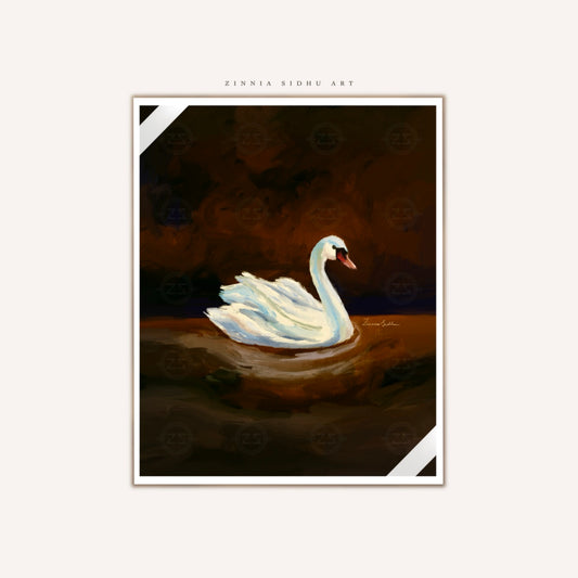 Swan Story